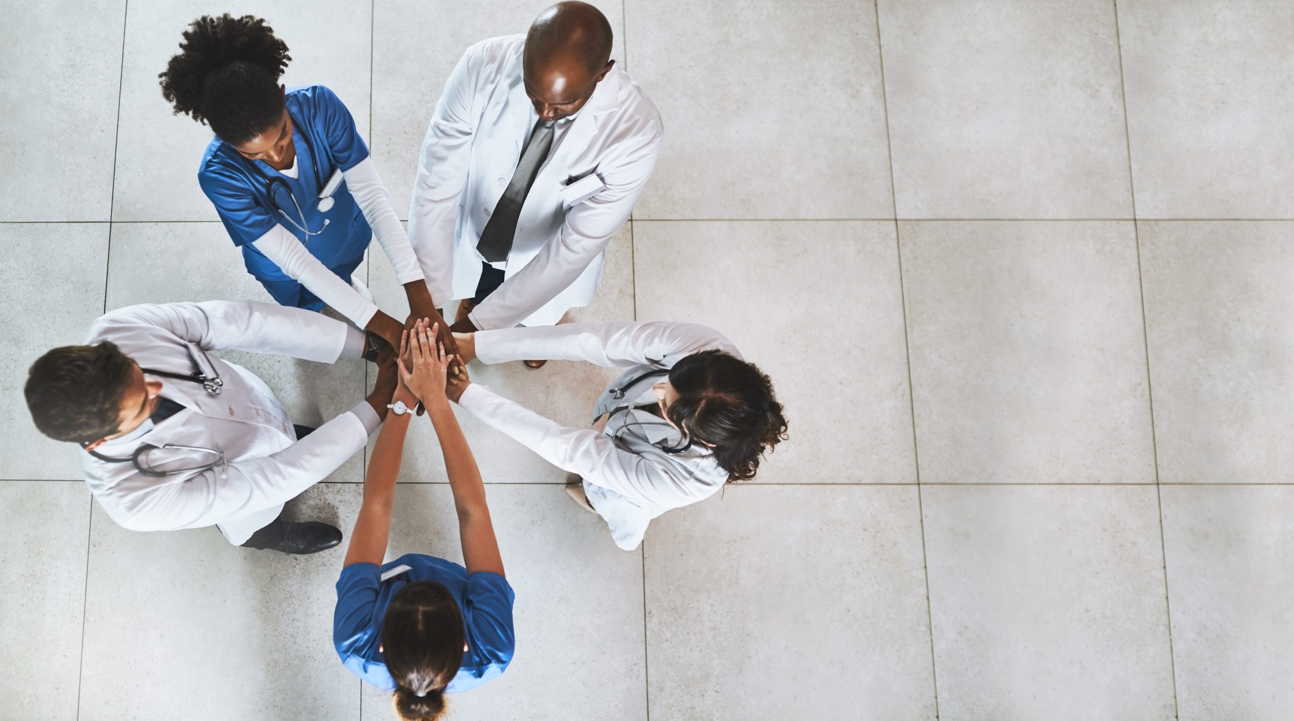 Organizational Change That Lasts
